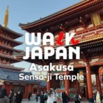 Tokyo: Customizable Day Trip Within Tokyo & English-Driver - Value for Money