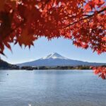 Tokyo: Day Trip Mount Fuji /Lake Kawaguchi (Private tour) - Who Should Consider This Tour