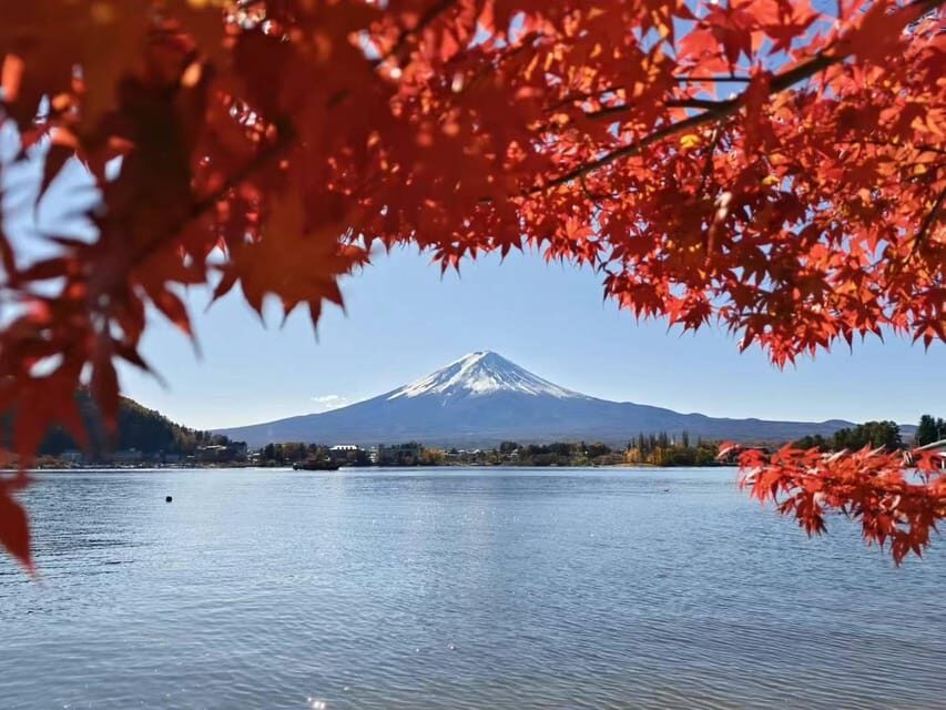 Tokyo: Day Trip Mount Fuji /Lake Kawaguchi (Private tour) - Who Should Consider This Tour