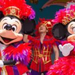 Tokyo Disneyland: 1-Day Entry Ticket and Private Transfer - Transportation and Logistics
