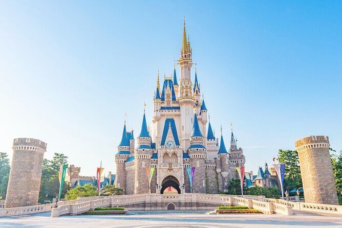 Tokyo Disneyland: 1-Day Ticket & Private Hotel Transfer - Why This Tour Offers Good Value