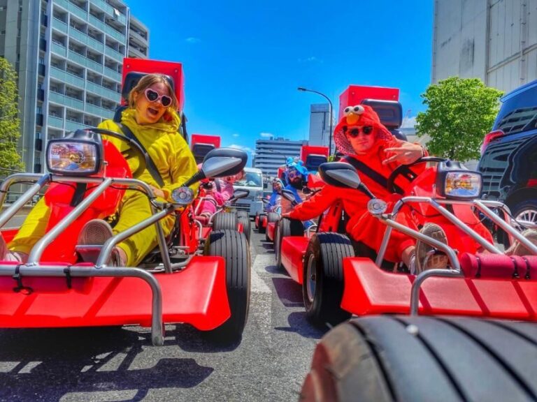 Tokyo: Flagship 2-Hour Street Go-Kart Tour by Street Kart - Final Thoughts