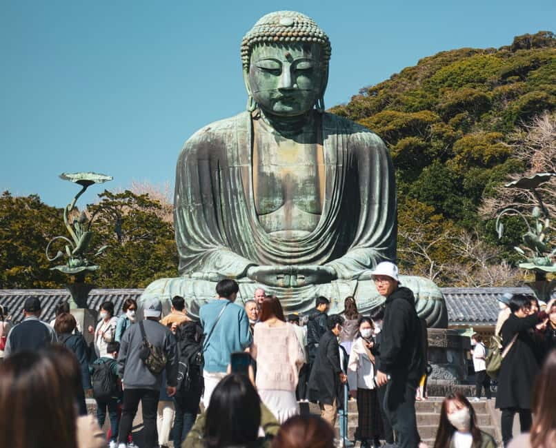 Tokyo: Full-day Private Kamakura and Enoshima Tour w/ Driver - Transport and Practical Details