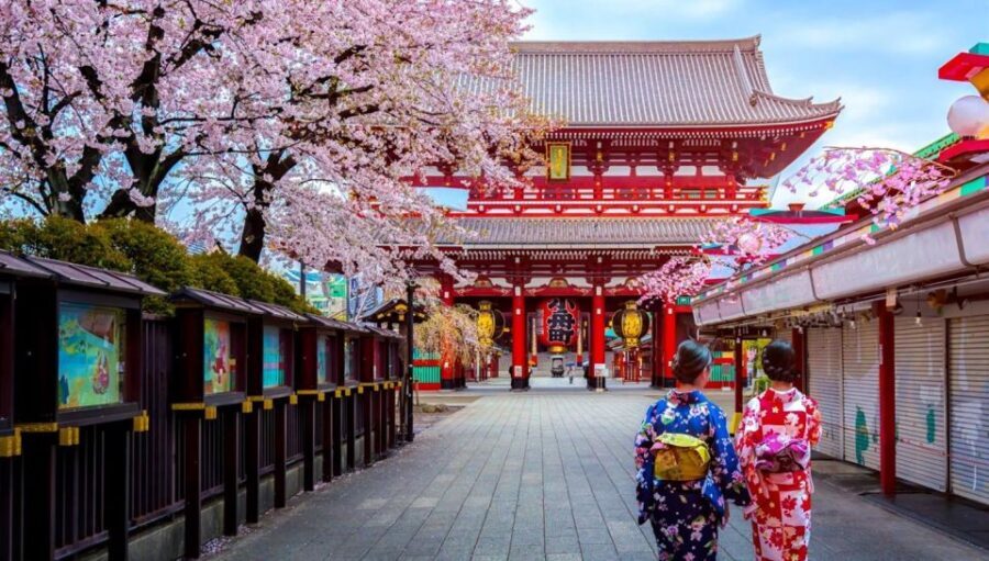 Tokyo: Full Day Private Walking Tour with a Guide - The Breakdown of the Itinerary