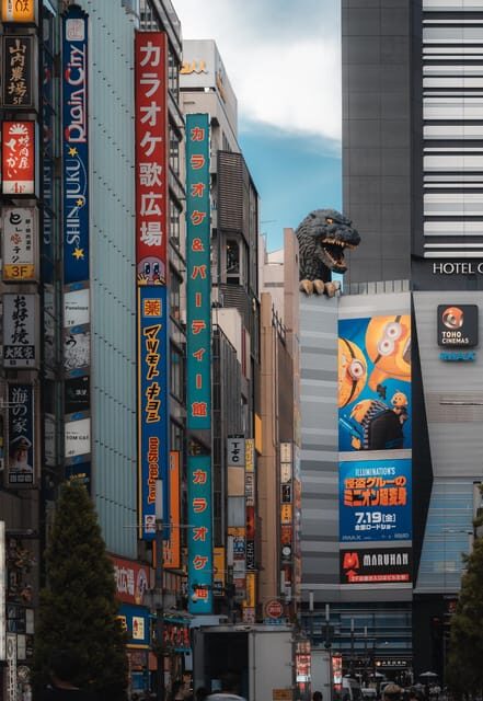 Tokyo full day Spanish speaking tour with hotel pick up and drop off. - What Makes This Tour Stand Out?