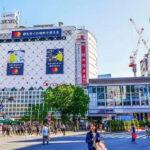 Tokyo: Guided Exploration with a Private Driver - Itinerary Breakdown: What to Expect at Each Stop