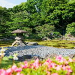 Tokyo: Imperial Palace & Tokyo Castle History Walking Tour - Exploring the Heart of Tokyo’s Imperial Heritage