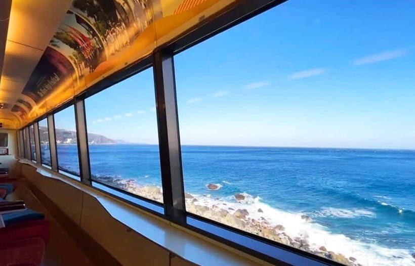 Tokyo: Izu Scenic Oceanview Train, Volcano, Coast Day Trip - Omuroyama: Walking atop an Extinct Volcano