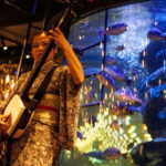 Tokyo: Japanese Experiece Dinner with Diving Ama Performance - Final Thoughts