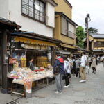 Tokyo: Kawagoe Private Day Trip with National Licenced Guide - The Itinerary: A Closer Look