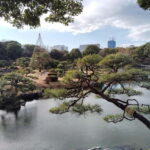Tokyo: Kiyosumi, Hama-Rikyu, and Kyu-Yasuda Garden Tour - Who Would Enjoy This Tour?