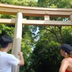 Tokyo Meiji Shrine and Shinto Culture Walking Tour - The Value of This Experience