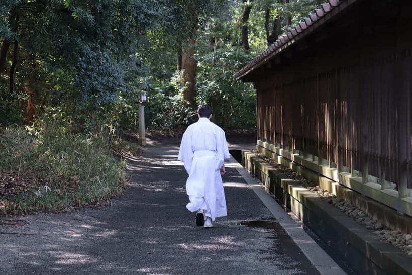 Tokyo Morning Highlights: Shibuya, Asakusa, Meiji Shrine - Practical Details & Tips