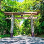 Tokyo Morning Tour: Meiji Shrine, Asakusa & Fish Market - Exploring the Itinerary in Detail