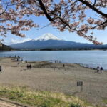 Tokyo: Mount Fuji Affordable Customizable Private 1-Day Tour - Who Is This Tour Best For?