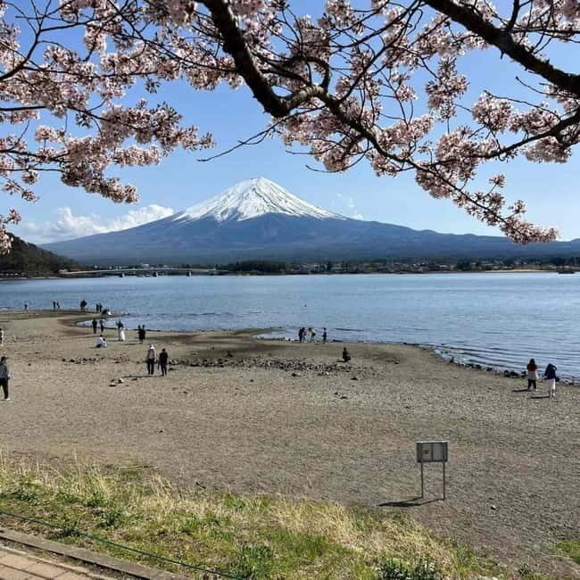 Tokyo: Mount Fuji Affordable Customizable Private 1-Day Tour - Who Is This Tour Best For?