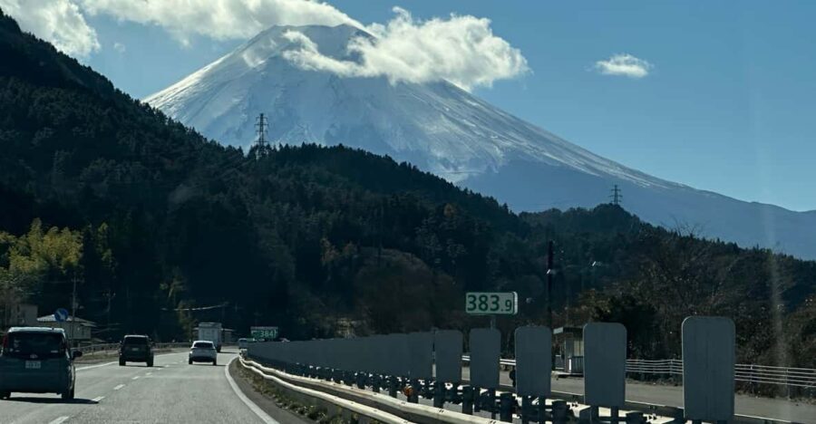 Tokyo: Mount Fuji and Hakone Private Sightseeing Day Tour - What’s Included and What’s Not