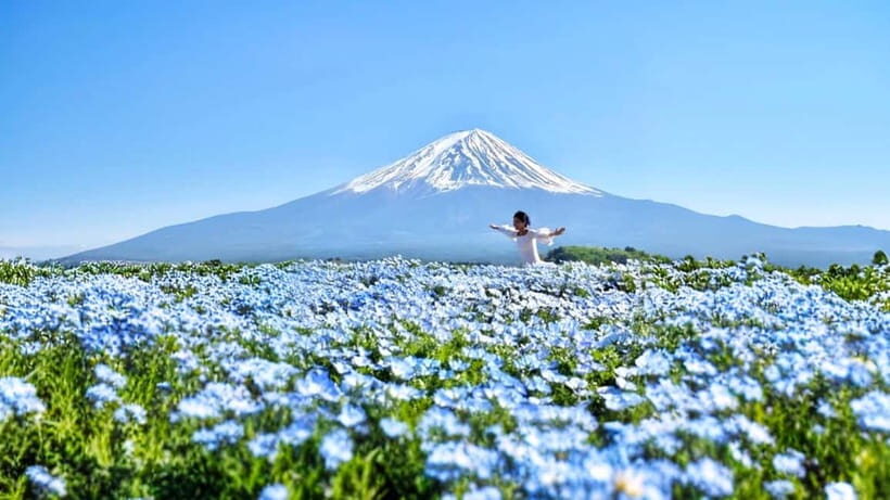 Tokyo: Mount Fuji Day Trip with Scenic & Local Stops - Practical Details & Tips for the Tour
