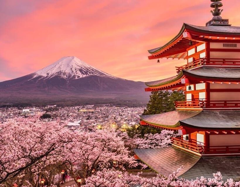 Tokyo: Mount Fuji Full day Private Sightseeing Guided tour - The Practical Side: Value and Logistics