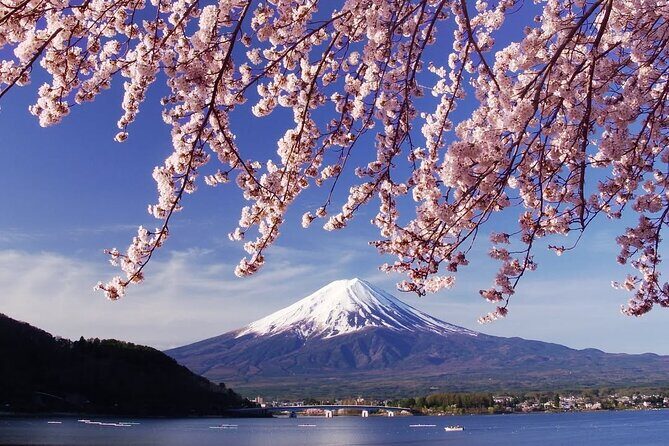 Tokyo: Mount Fuji One Day Trip Lake Kawaguchi & Lake Yamanaka - An In-Depth Look at the Itinerary