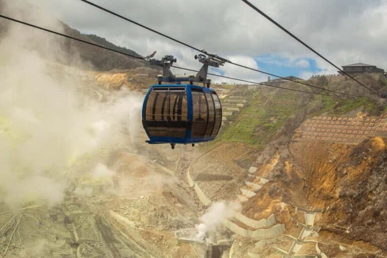 Tokyo: Mt. Fuji & Hakone, FREE Pirate Ship & Ropeway - A Detailed Look at the Tour Experience