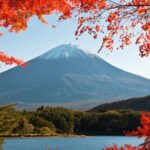 Tokyo: Mt. Fuji Hidden Gems and Aokigahara Forest Tour - Practical Details and What to Expect