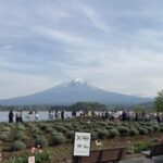 Tokyo: Mt. Fuji Private Tour with Kawaguchi lake - Itinerary Breakdown and What to Expect