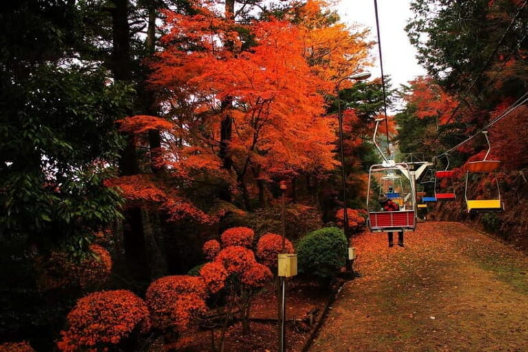 Tokyo: Mt Takao Tour with Ramen and Tattoo-Okay Hot Spring - What You Can Expect from the Tour