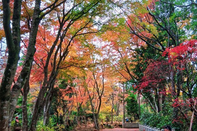 Tokyo: Mt. Takao Tour with Ramen and Tattoo-Okay Hot Spring - Sacred Trees & Nature Walks