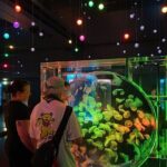 Tokyo Night E-Bike Tour with Tokyo Tower and Dolphin Show - What Makes This Tour Stand Out?