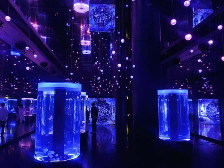 Tokyo : Night E-Bike Tour with Tokyo Tower and Dolphin Show - Who Is This Tour For?