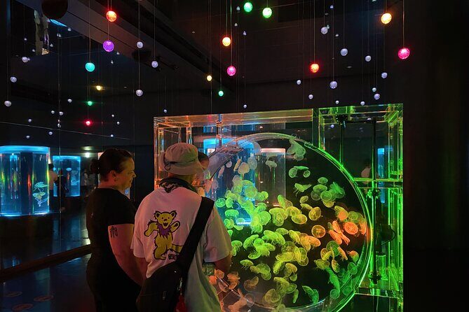 Tokyo Night E-Bike Tour with Tokyo Tower and Dolphin Show - What Makes This Tour Stand Out?