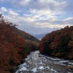 Tokyo: Nikko Day Tour with Private Vehicle and Guide - Exploring Nikko’s Cultural Gems
