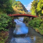 Tokyo: Nikko National Park Private Day Trip with Driver - What Makes the Itinerary Stand Out?