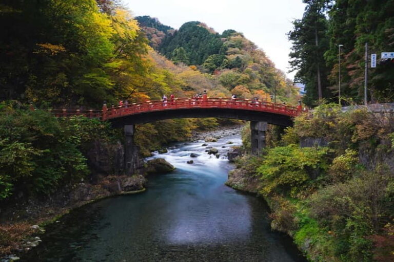 Tokyo: Nikko Private Sightseeing Day Trip with Driver - Authentic Experiences Based on Reviews