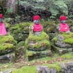 Tokyo: Nikko Private Tailored Day Tour with Premium Vellfire - Practical Considerations