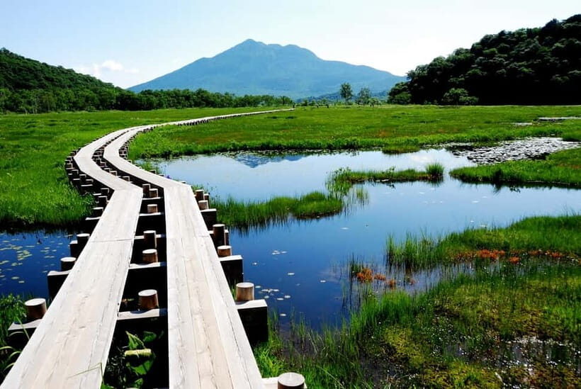 Tokyo: Oze Marshland Hiking Day Trip via Hatomachi Pass - What is the Oze Marshland Day Trip?