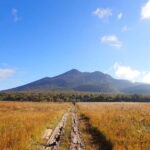 Tokyo: Oze National Park Self-Guided Hike with Overnight Bus - How the Itinerary Unfolds