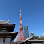 Tokyo: Private 1-Day Tour by Car with Local Guide - The Itinerary Breakdown: What You’ll See and Do