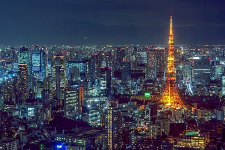 Tokyo: Private Customizable City Tour with Chauffeur - Who Is This Tour Best For?