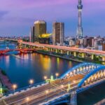 Tokyo: Private Full-Day Sightseeing Tour with English Driver - Why Choose This Tour?