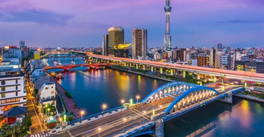 Tokyo: Private Full-Day Sightseeing Tour with English Driver - Why Choose This Tour?