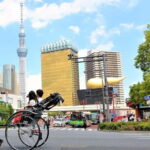 Tokyo: Private Guided Walking Tour & Rickshaw Experience - The Value of This Tour