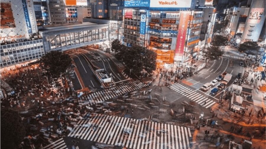 Tokyo: Private Instagramable Customised Tokyo City Day Tour - A Detailed View of the Itinerary