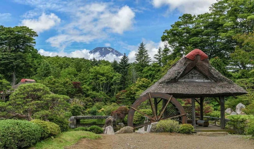 Tokyo: Private Mount Fuji Tour with Pickup and Drop-Off - The Value of a Private Tour