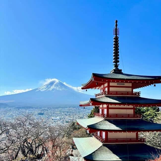 Tokyo: Private Mt. Fuji Day Trip with Local Guide - A Deep Dive into the Experience