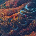 Tokyo: Private Nikko Day Tour of Temples, Lakes & Waterfalls - Introduction to the Tour