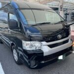 Tokyo Private Sightseeing Tour - First Stop: Sens-ji Temple and Nakamise Street