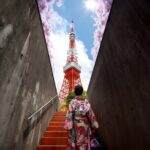 Tokyo Private Sightseeing Tour by Car and English Speaking Driver - Getting a Feel for the Itinerary