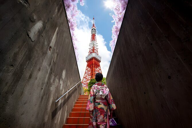 Tokyo Private Sightseeing Tour by Car and English Speaking Driver - Getting a Feel for the Itinerary